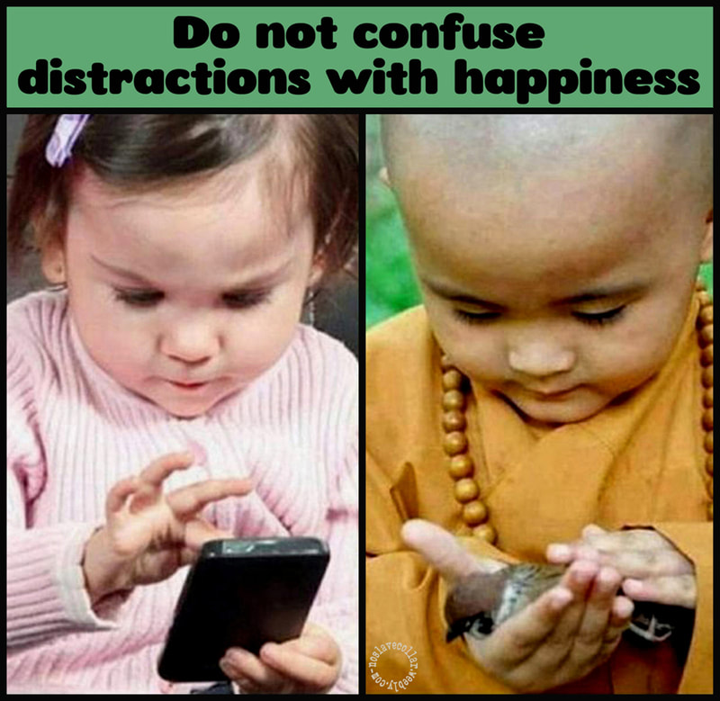 Do not confuse distractions with happiness