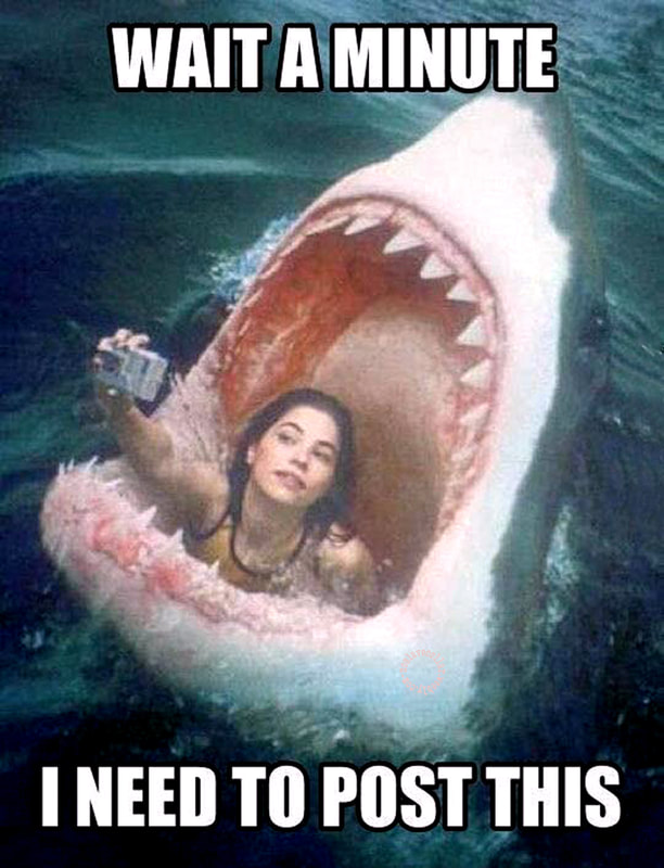 Wait a minute, I need to post this (selfie in a giant shark)