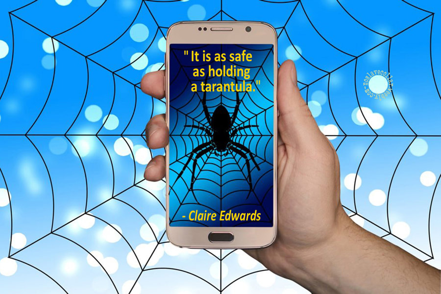 'It is as safe as holding a tarantula' - Claire Edwards