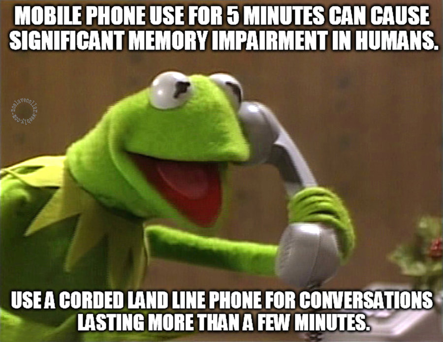 Mobile phone use for 5 minutes can cause significant memory impairment in humans. Use a corded landline phone for conversations lasting more than a few minutes.