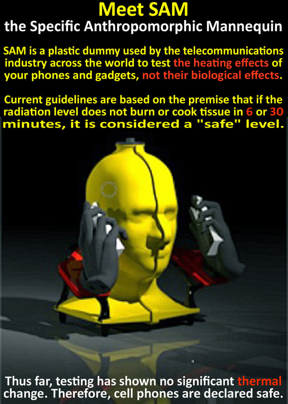 Meet SAM, the Specific Anthropomorphic Mannequin. SAM is a plastic dummy used by the telecommunications industry across the world to test the heating effects of your phones and gadgets, not their biological effects. Current guidelines are based on the premise that if the radiation level does not burn or cook tissue in 6 or 30  minutes, it is considered a "safe" level. Thus far, testing has shown no significant thermal change. Therefore, cell phones are declared safe.