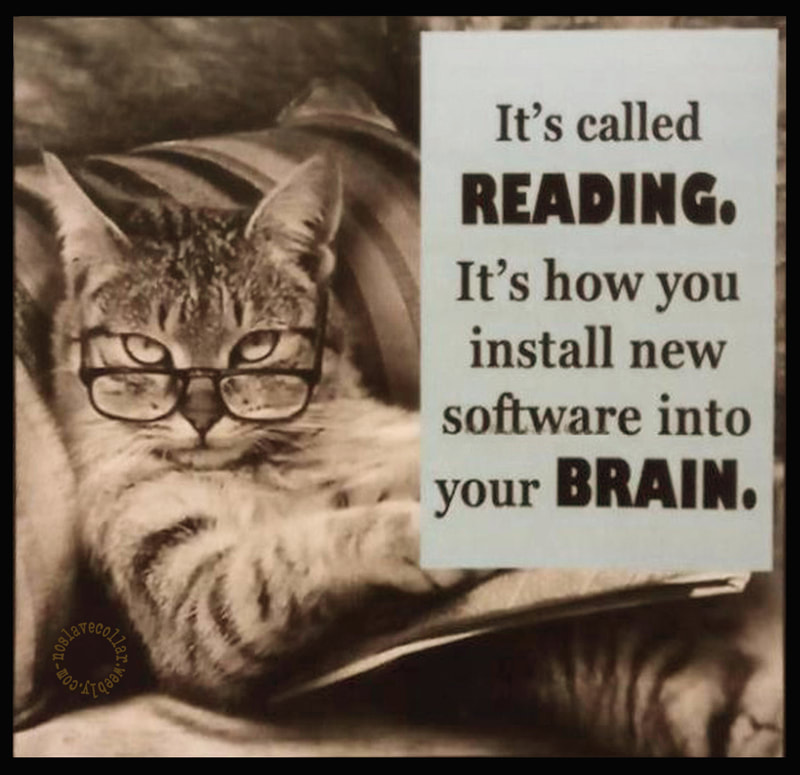 It's called reading, it's how you install new software into your brain