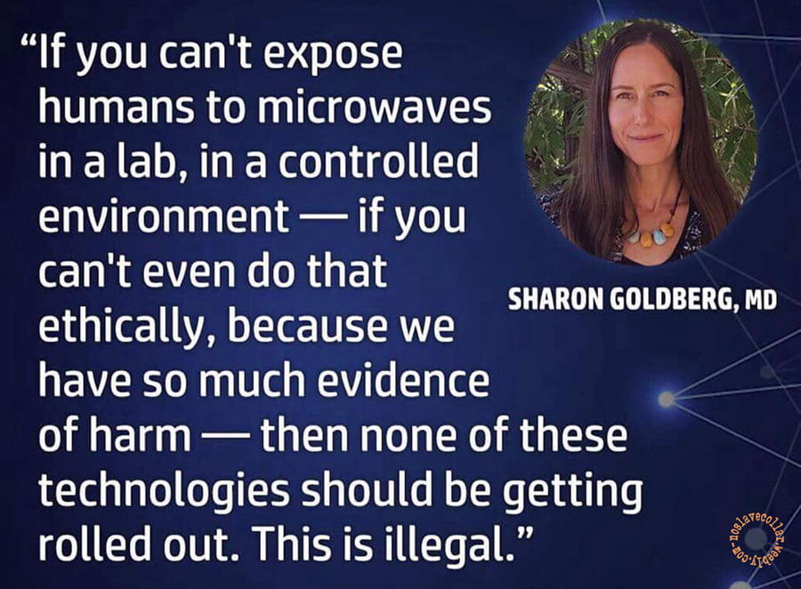"If you can't expose humans to microwaves in a lab, in a controlled environment - if you can't even do that ethically, because we have so much evidence of harm - then none of these technologies should be rolled out. This is illegal." - Sharon Goldberg, MD