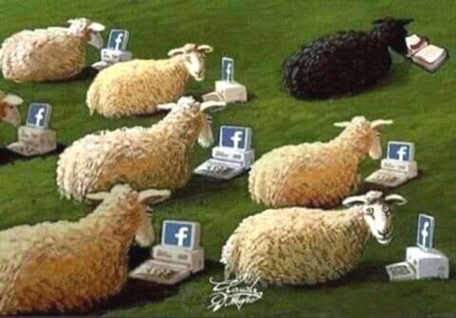 White sheep following other white sheep on Facebook, black sheep reading a book and thinking for himself...