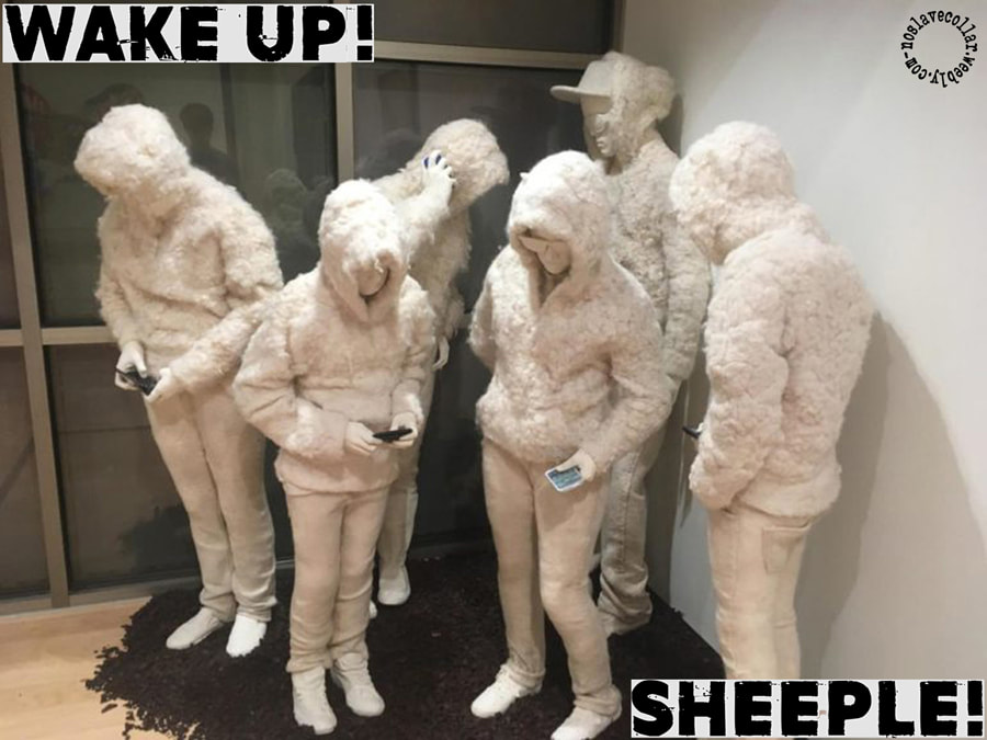 Wake up! sheeple! - art exhibition showing sheeple with phones in their hands