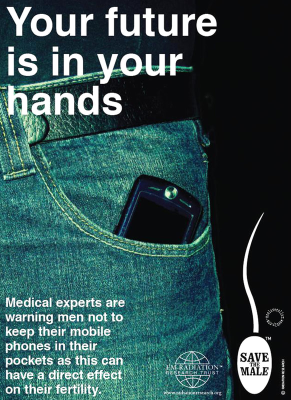 Your future is in your hands - Medical experts are warning men not to keep their mobile phones in their pockets as this can have a direct effect on their fertility. - Save The Male