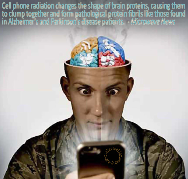 Cell phone radiation changes the shape of brain proteins, causing them to clump together and for pathological protein fibrils like those found in Alzheimer's and Parkinson's disease patients. - Microwave News