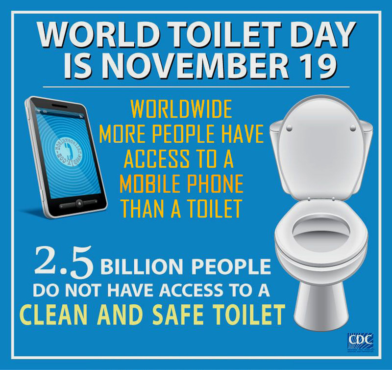 World toilet day is November 19 - Worldwide more people have access to a mobile phone than a toilet - 2.5 billion people do not have access to a clean and safe toilet