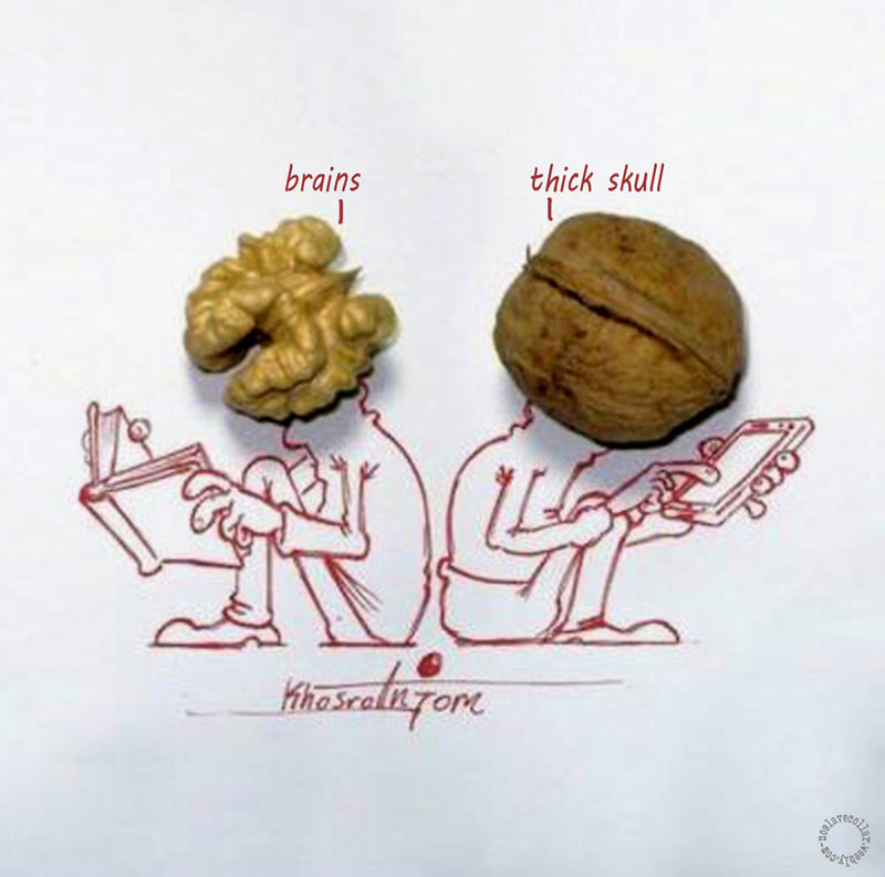 Brains vs thick skull, book vs smartphone, illustrated with walnuts