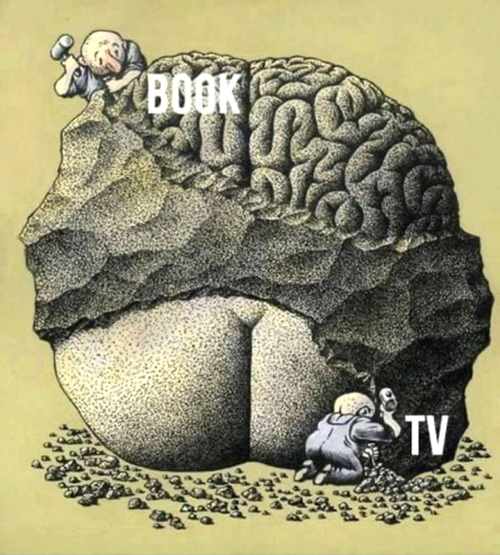 Book vs TV