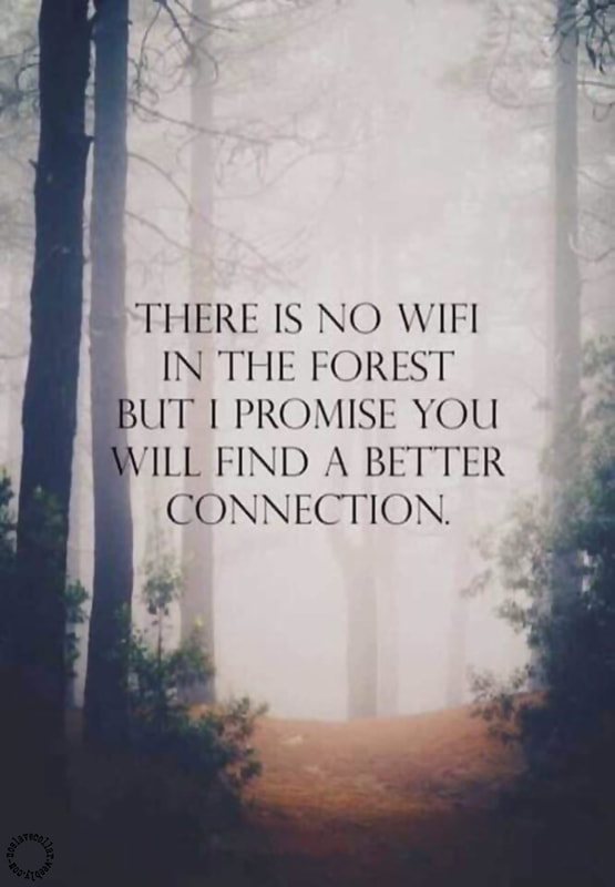 There is no Wifi in the forest but I promise you will find a better connection