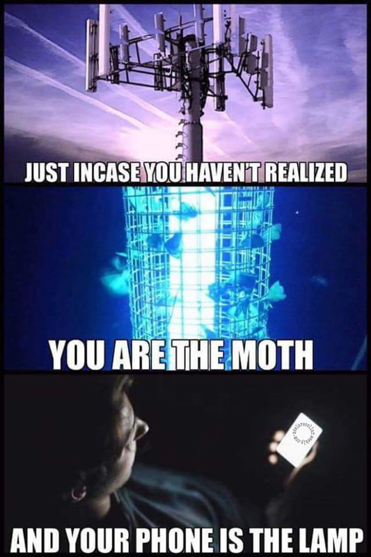 Just in case you haven't realized - You are the moth - and your phone is the lamp