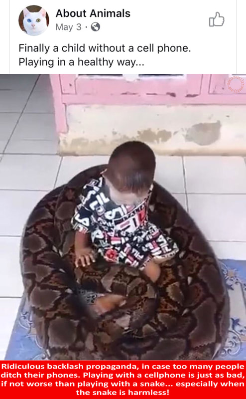 "Finally a child without a cell phone. Playing in a healthy way…" - Ridiculous backlash propaganda, in case too many people ditch their phones. Playing with a cellphone is just as bad, if not worse than playing with a snake... especially when the snake is harmless!