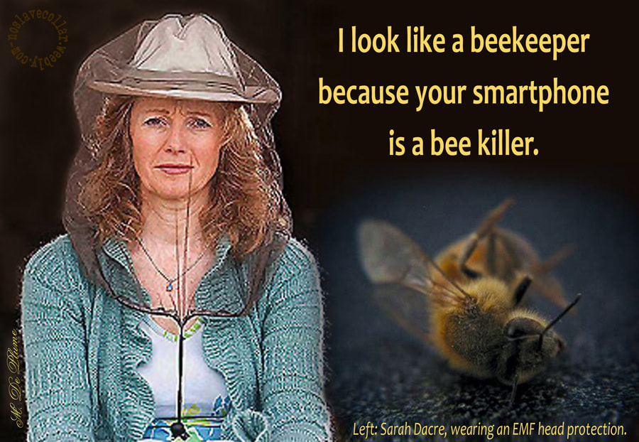 "I look like a beekeeper because your smartphone is a bee killer." - Sarah Dacre, wearing an EMF head protection.