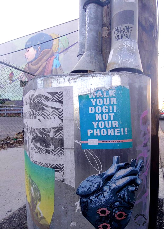 As seen on the street - 'Walk your dog, not your phone!!' poster