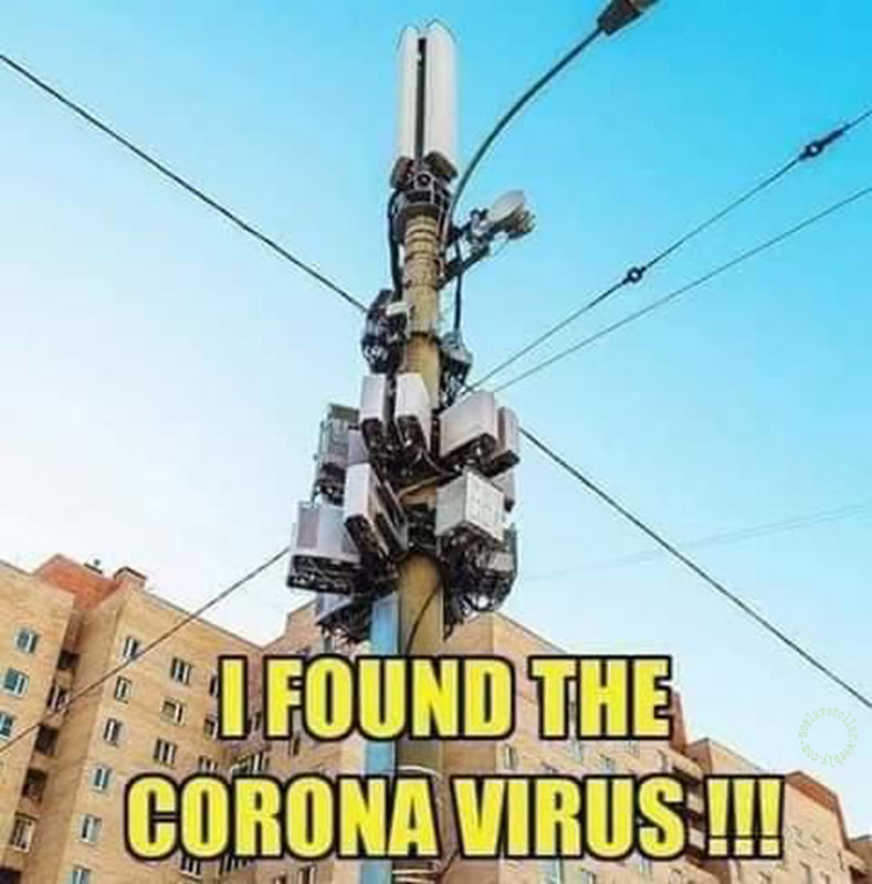 I found the Corona Virus!!!