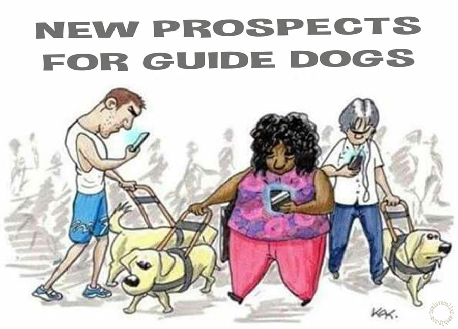 New prospects for guide dogs