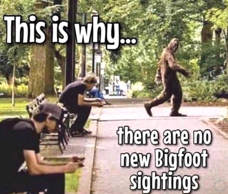 This is why there are no new Bigfoot sightings