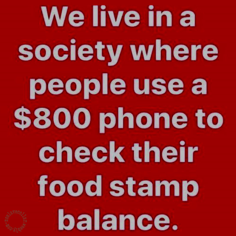 We live in a society where people use a $800 to check their food stamp balance